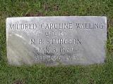 image number mildred_caroline_walling_sturgeon